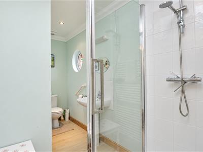 Picture 11
